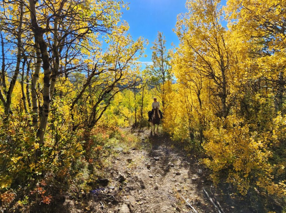 Home, Bear Creek Guest Ranch