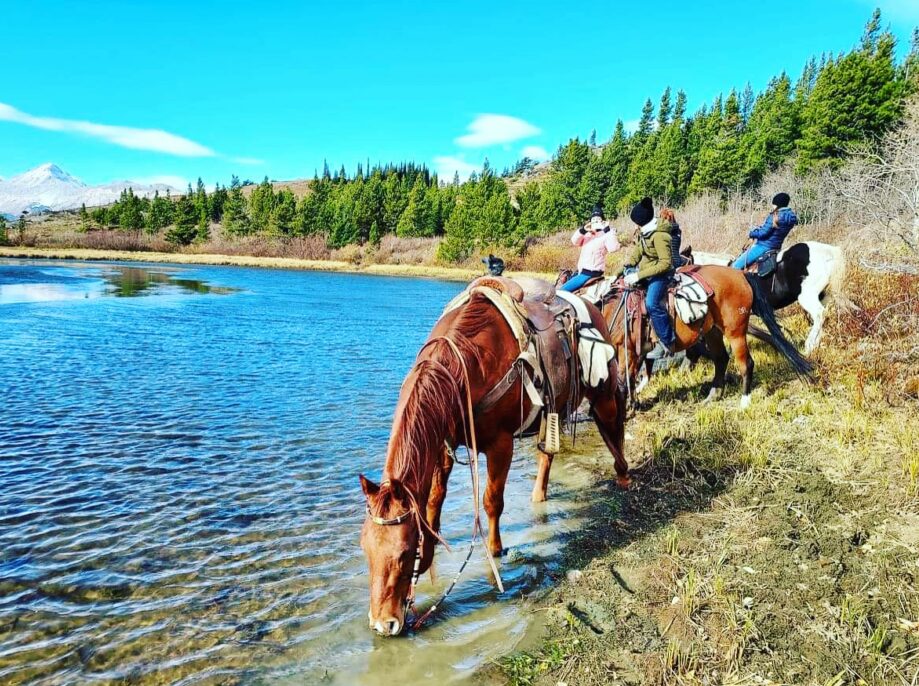 Home, Bear Creek Guest Ranch